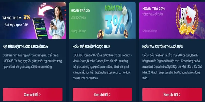 Giấy phép hoạt động và tuân thủ pháp lý